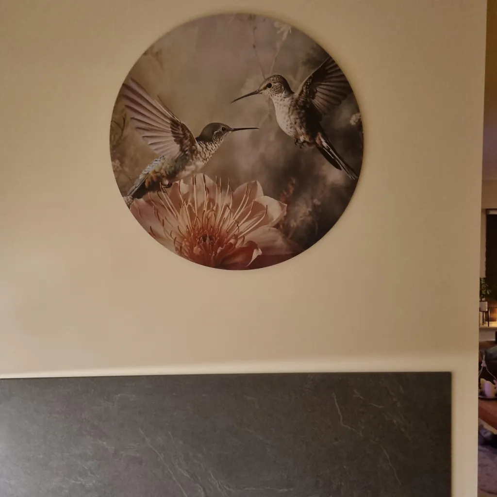 Kolibries 4 · Muurcirkel