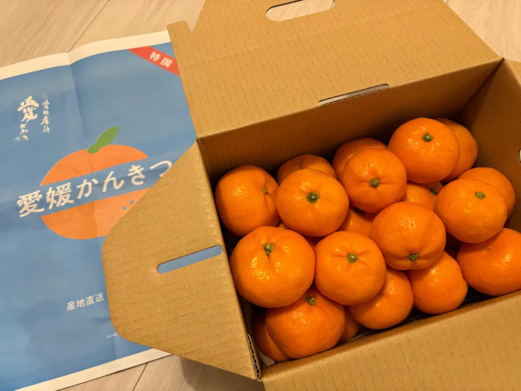 温州みかん(南柑20号)【3㎏/5㎏/10㎏】予約・12月発送〈柑橘ソムリエ
