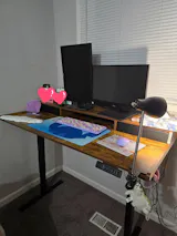 User picture