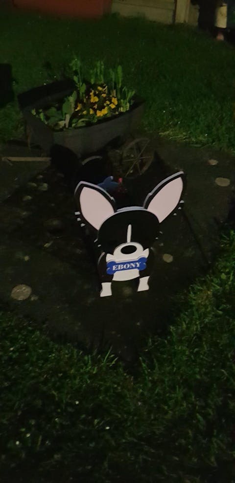 Chihuahua Plantenbak