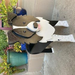 Border Collie Plantenbak