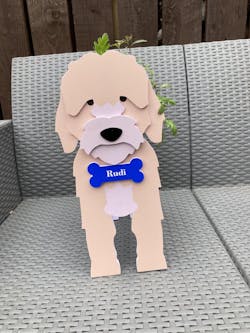 Cockapoo Plantenbak