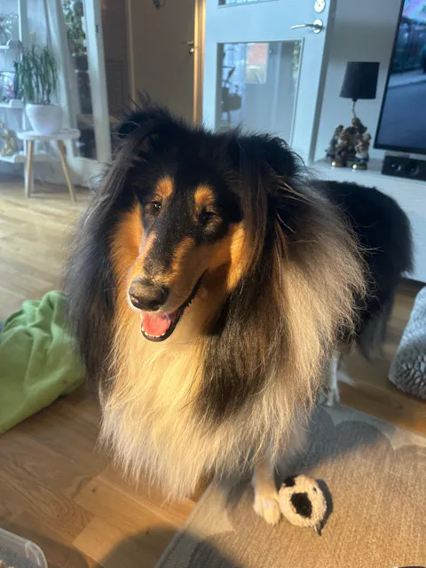 Kerotugg - Nötrulle