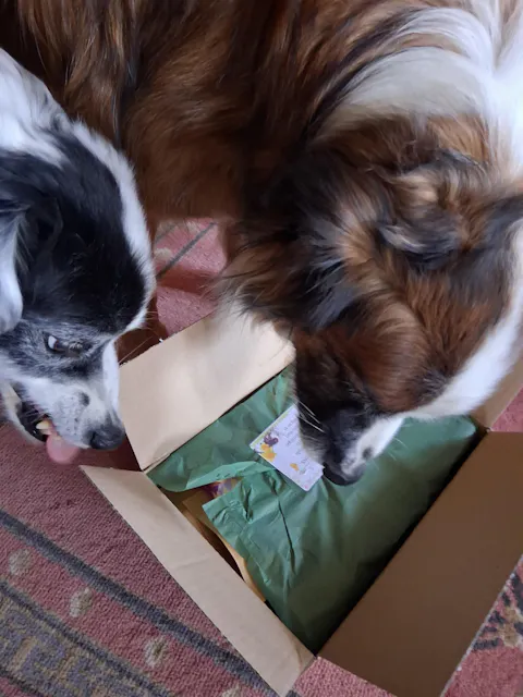 Soopa - Hundgodis SENIOR | Banan och pumpa (50g, 50 bitar)