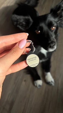 Silikon Hundemarke ® Taupe | Ø 25mm