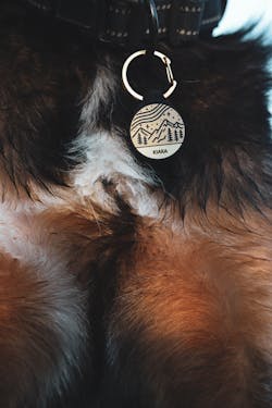Silikon Hundemarke ® Taupe | Ø 25mm