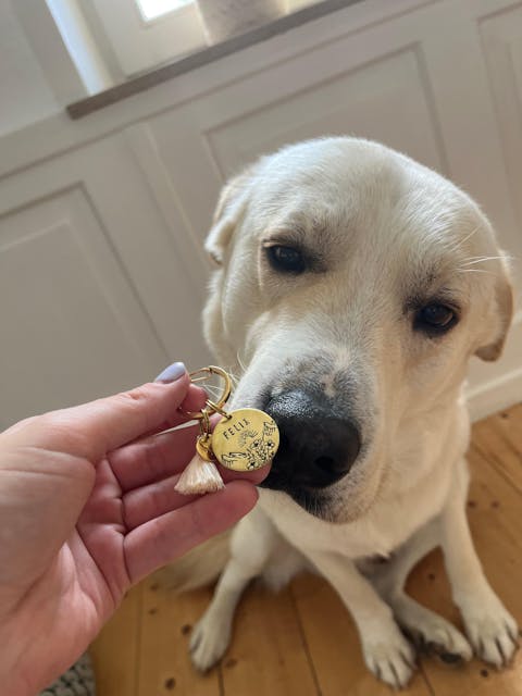 Personalisierte Hundemarke Rund Ø 25 mm