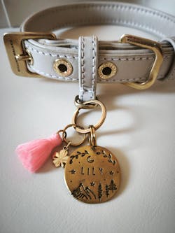 Personalisierte Hundemarke Rund Ø 20mm