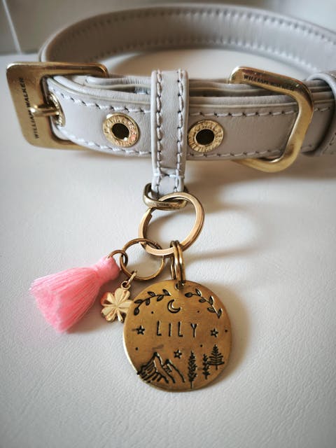 Personalisierte Hundemarke Rund Ø 20mm