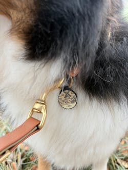 Silikon Hundemarke ® Beige