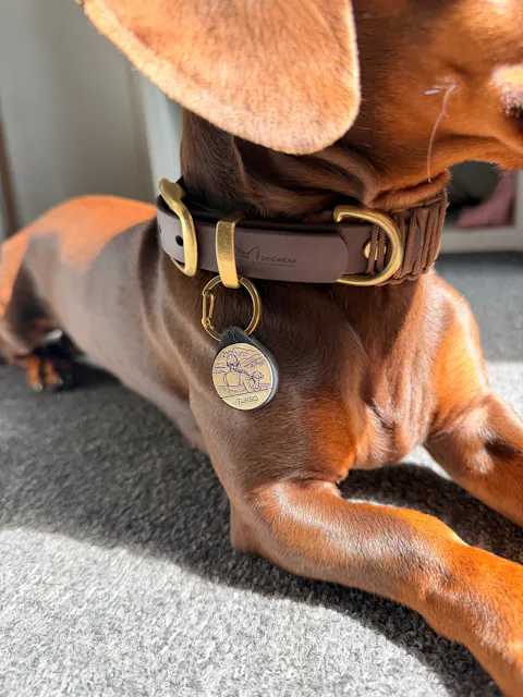 Individuelle Silikon Hundemarke ®