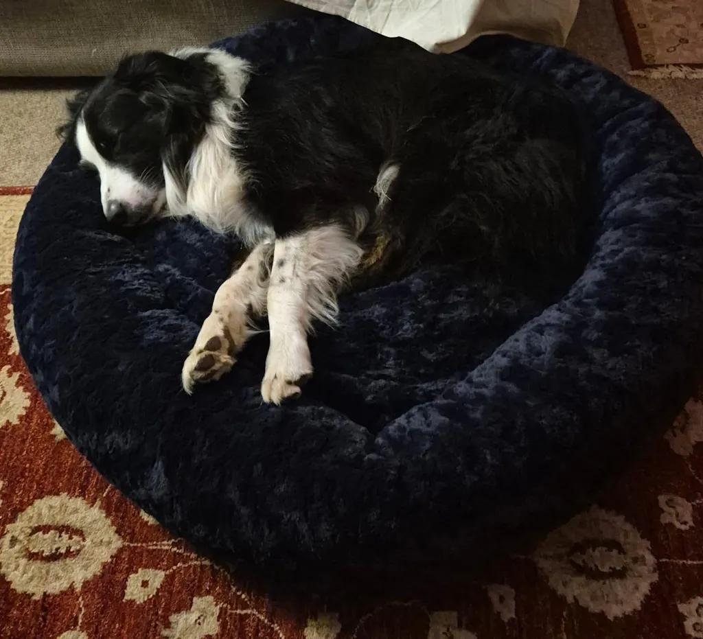Huntlea Calming Kuddler Round Dog Bed
