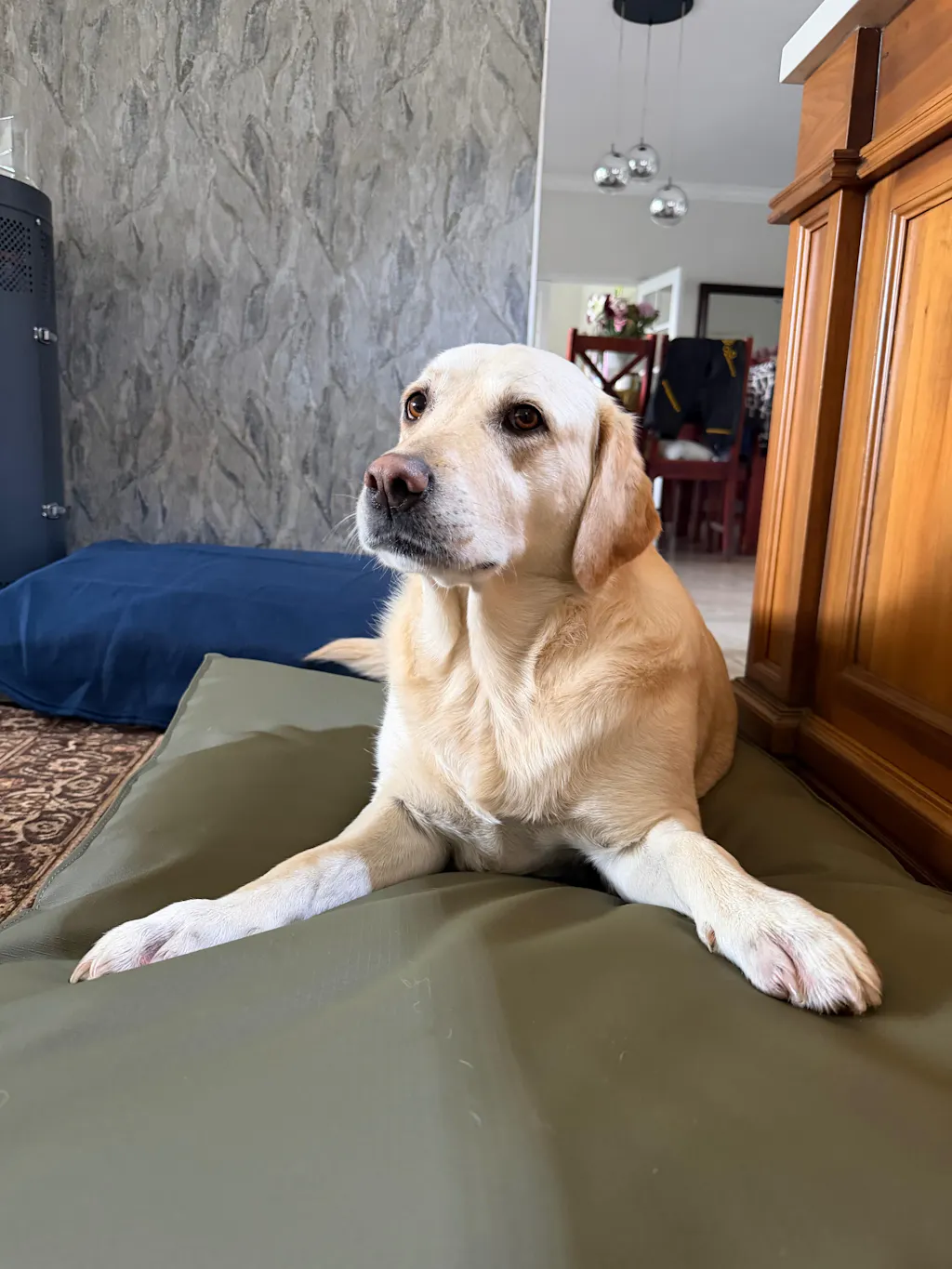 Original Pillow Dog Bed