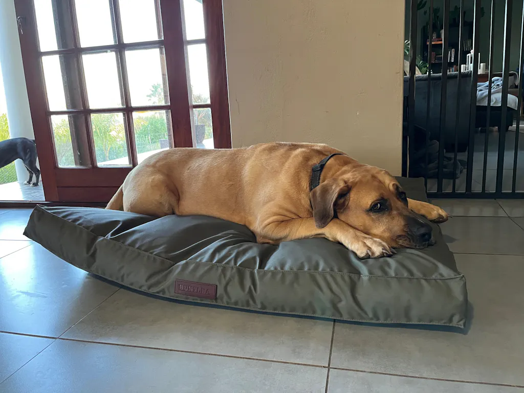 Huntlea Kalahari Orthopaedic Dog Bed