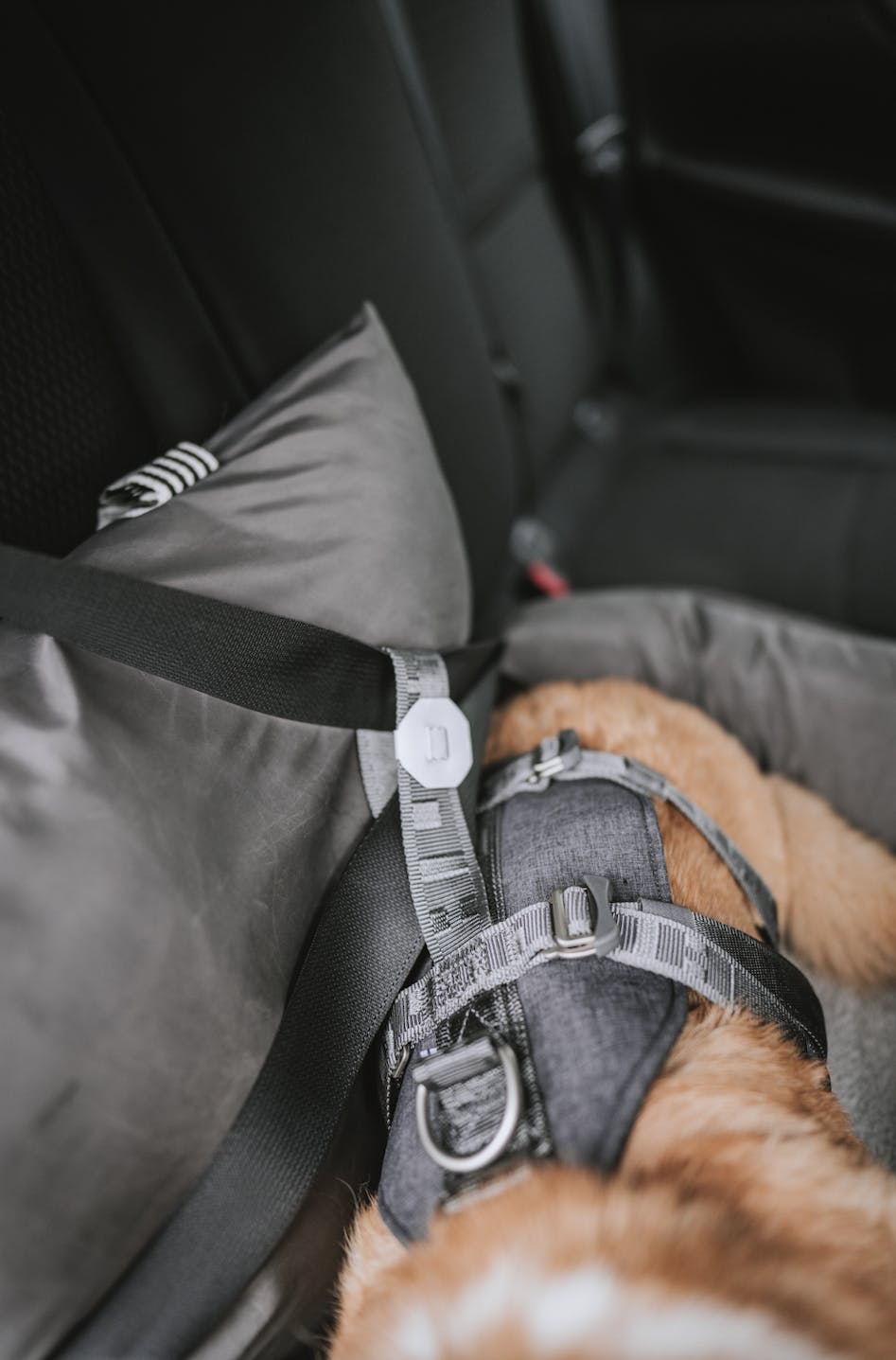 Hunde Autositz mit Sicherheitsgurt - das Original