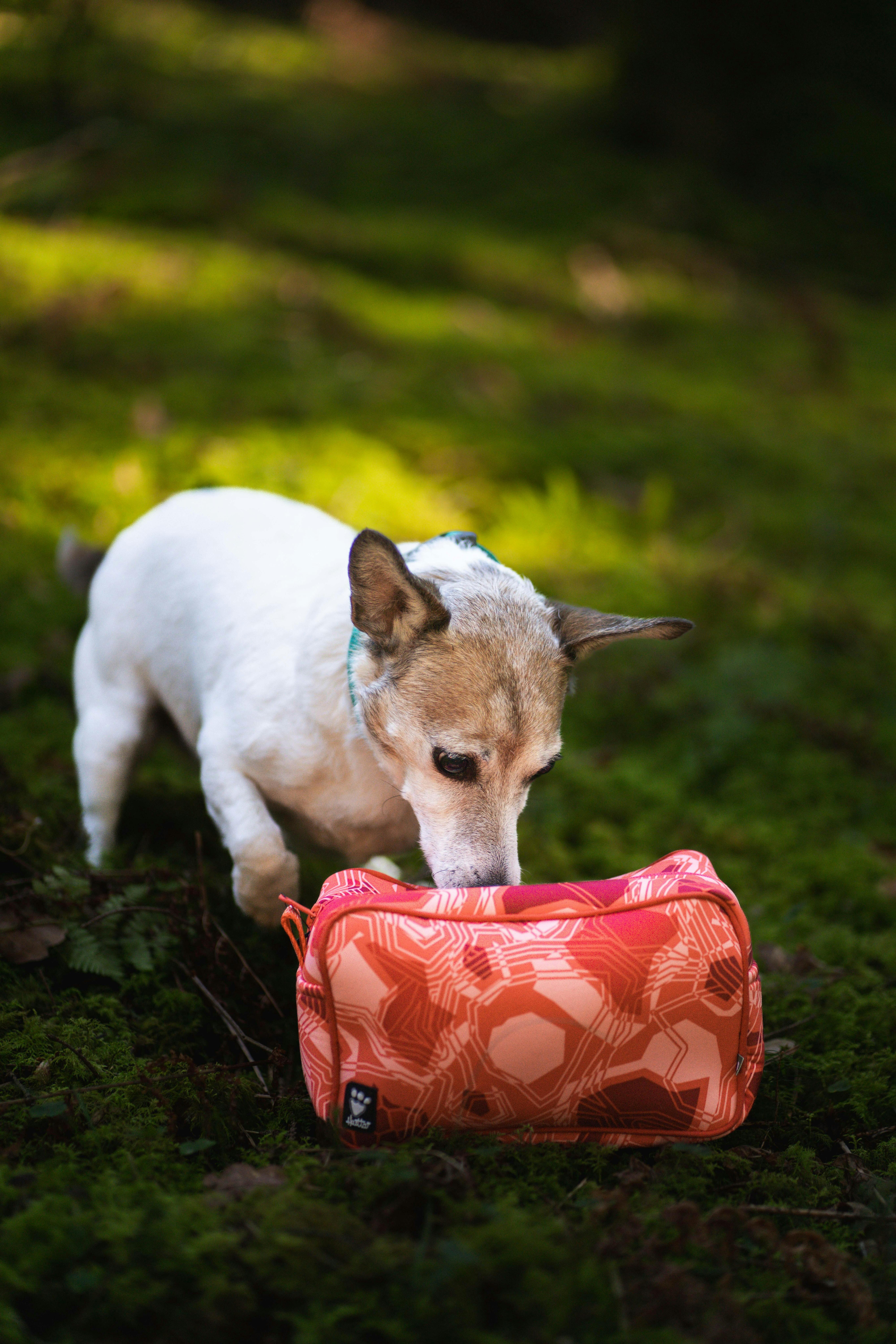 HURJABOY ♥ Pet leather bag/追跡付 Zhero Pouch Bag made of surplus materials – Hurtta.com