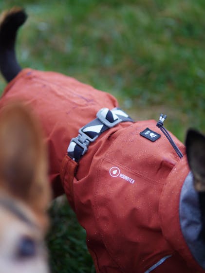 Expedition Coat Canadian Made Dog Coats Canada Pooch Dog Winter Parka Coat  Supreme Dog Garage