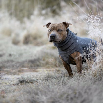 Warming Midlayer ECO dog jacket – Hurtta.com