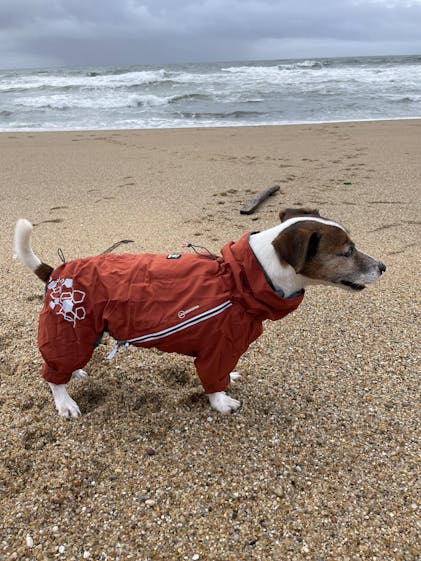 Mudventure Overall ECO rainsuit for dogs - Hurtta.com