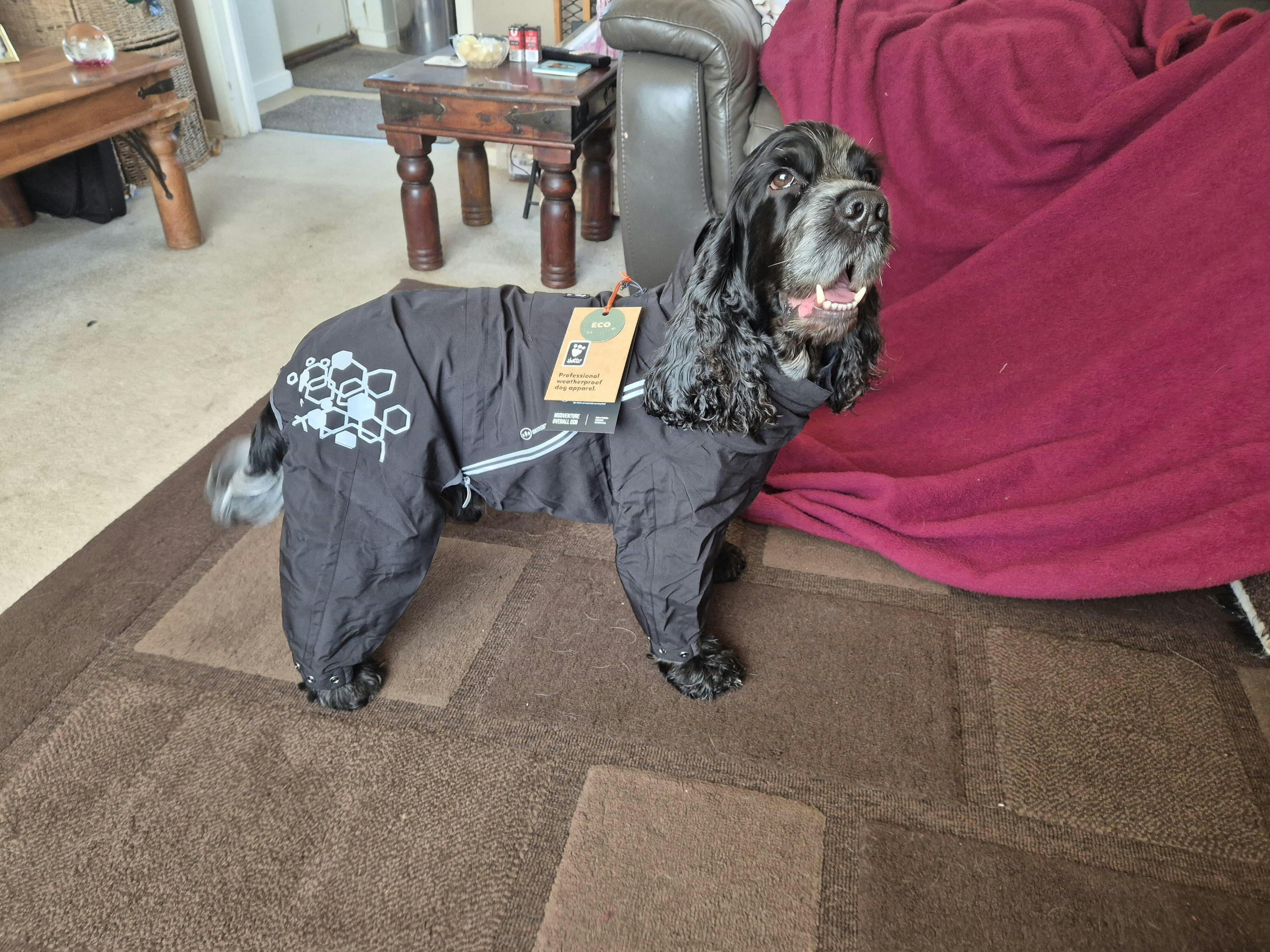Mudventure Overall ECO rainsuit for dogs - Hurtta.com