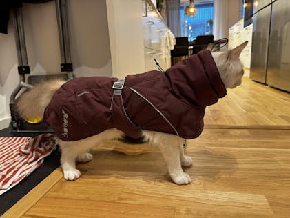 Extreme Warmer III ECO – Hurtta.com