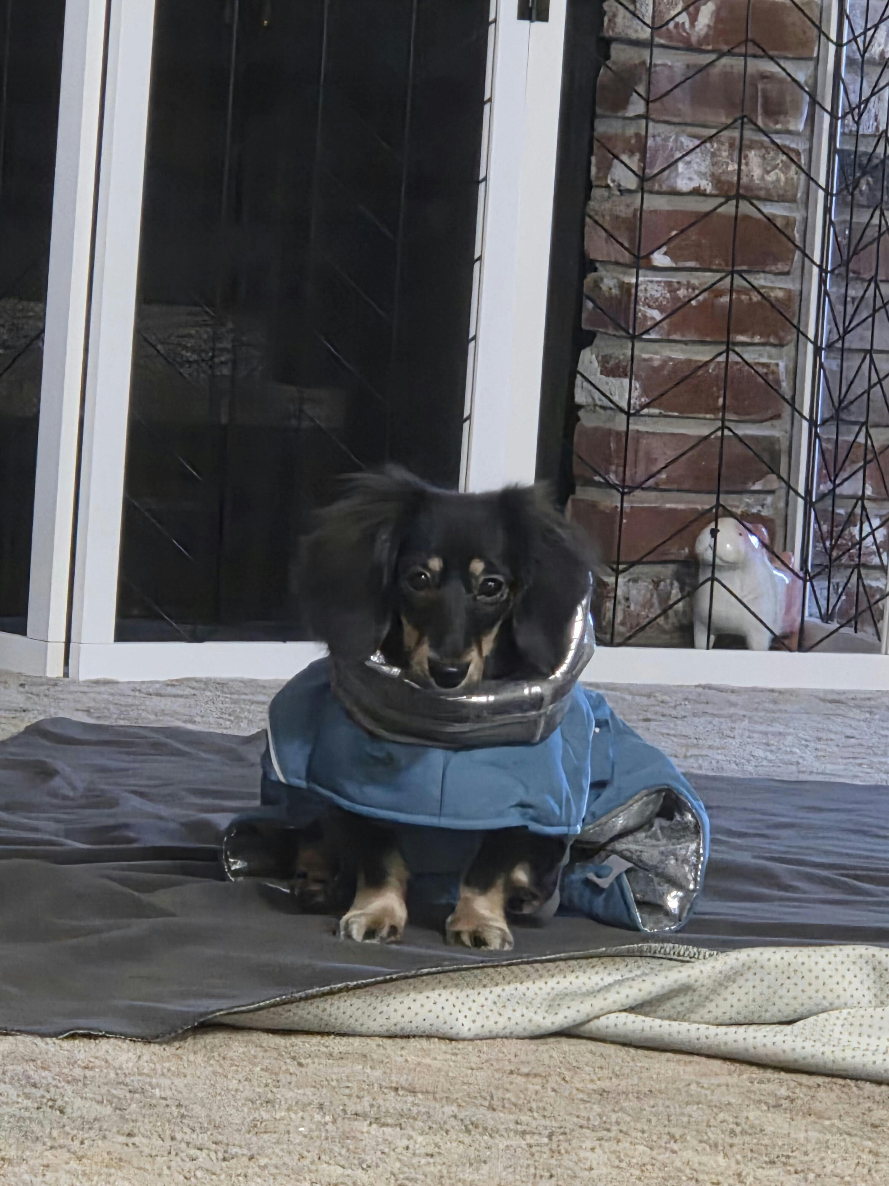 Extreme Warmer III ECO – Hurtta.com