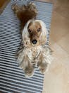 Hygge Dog Pollo e Banana Chips