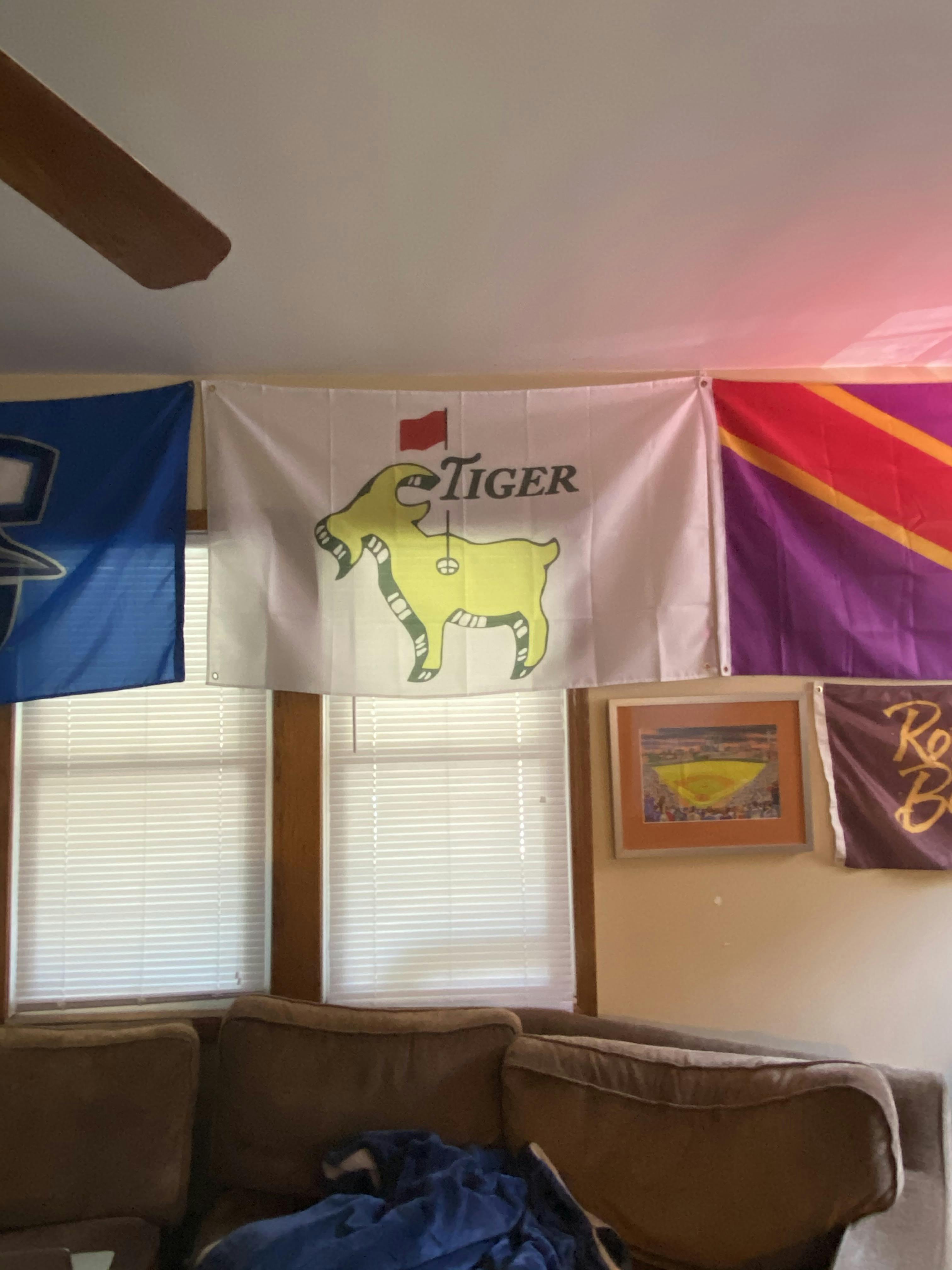 Hype Flags Tiger Flag GOAT Flag for Guys Dorm Room Golf HypeFlags