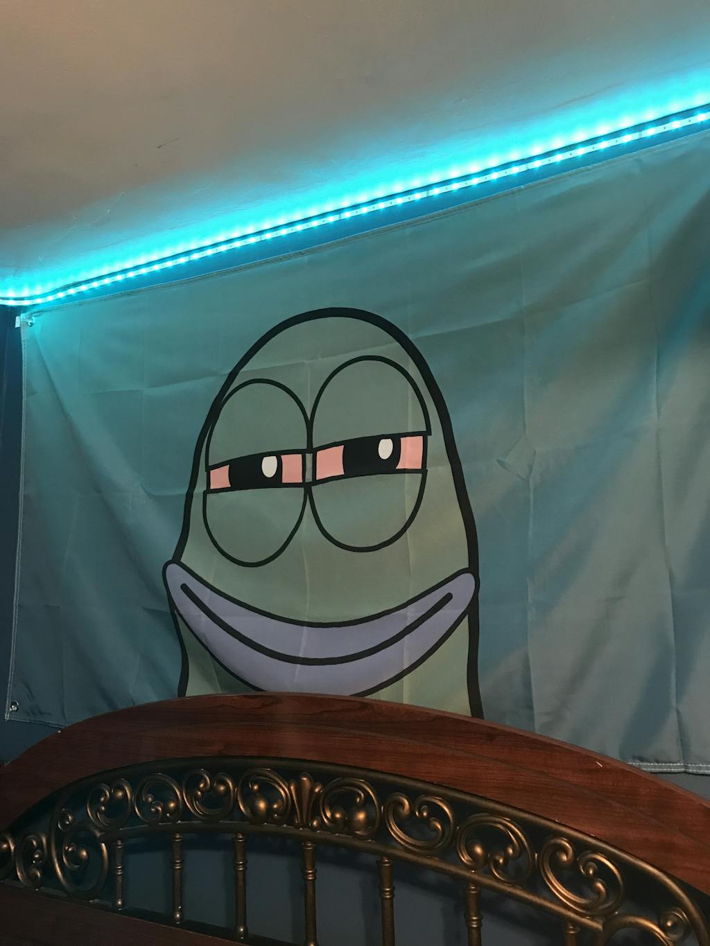 Hype Flags Baked Flag Weed Stoner Flag for Guys Dorm Room HypeFlags