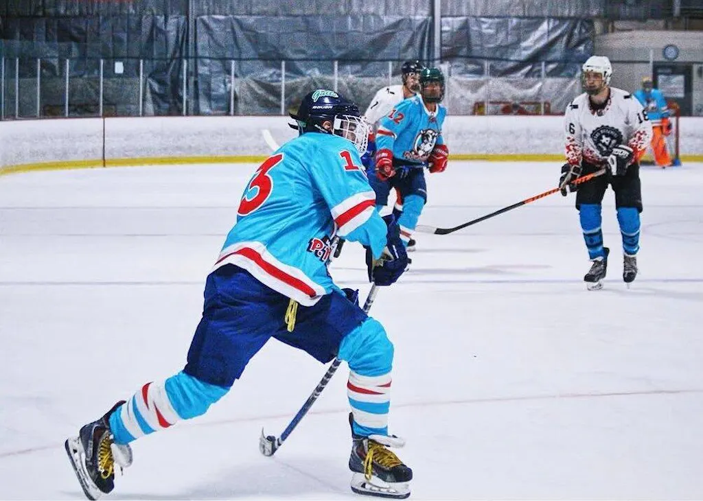 Custom Embroidered Ice Hockey Jersey (Pro)