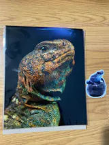 User picture