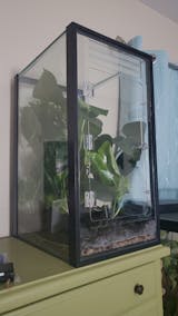 20 Gallon TALL/High Aquarium Gecko/Arboreal Conversion Kit – I Heart Geckos