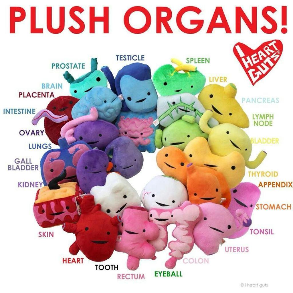 Colon Plush You Move Me Plush Organ Stuffed Toy Pillow I Heart Guts
