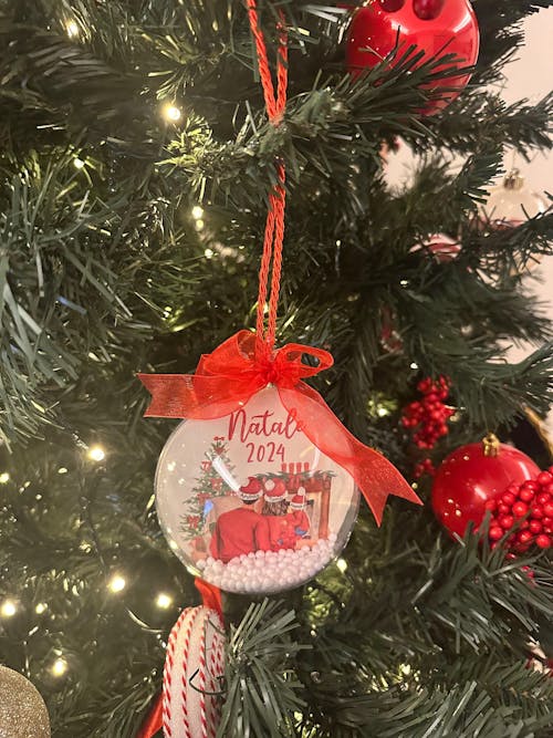 Sfera Natale Personalizzata Famiglia - Plexiglass