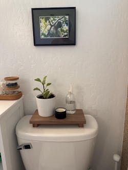 Sink Caddy