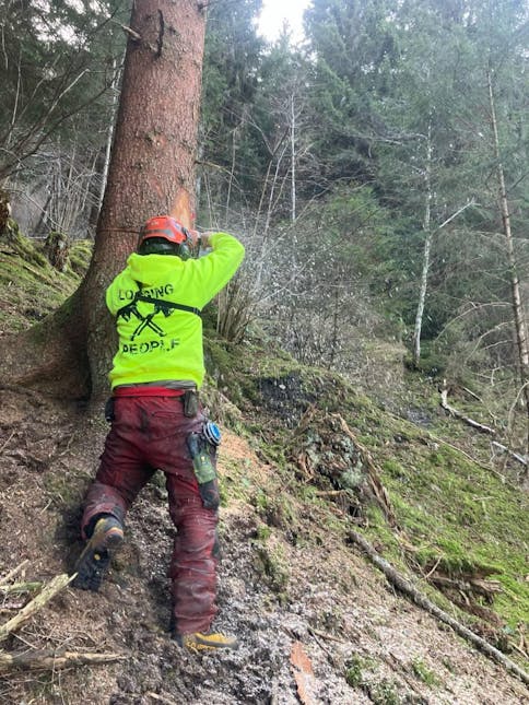 Logging People II Hoodie Baumwolle