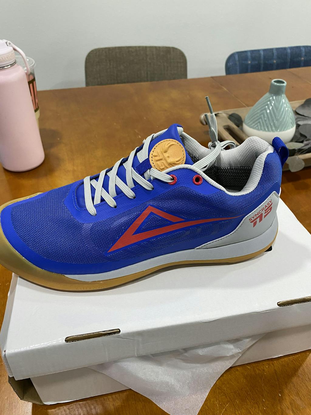 Michael Holt Youtube review of the IDIO Syncrasy disc golf shoes Idio