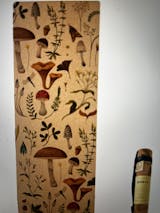 Imagem do utilizador