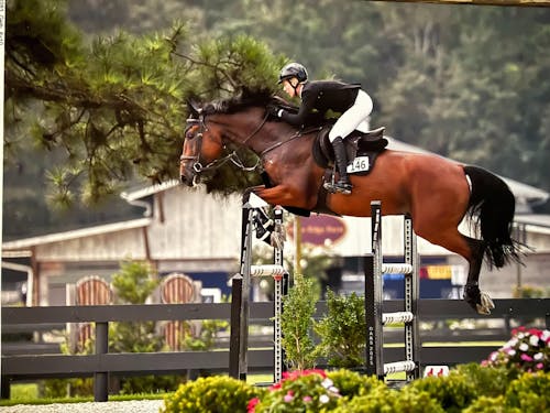 ImmuBiome Lean Muscle