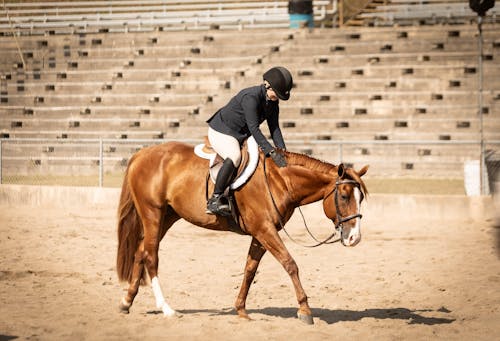 ImmuBiome Lean Muscle