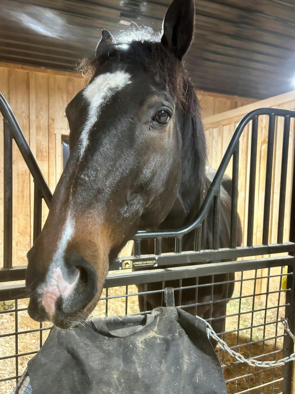 ImmuBiome Spine & Nerve