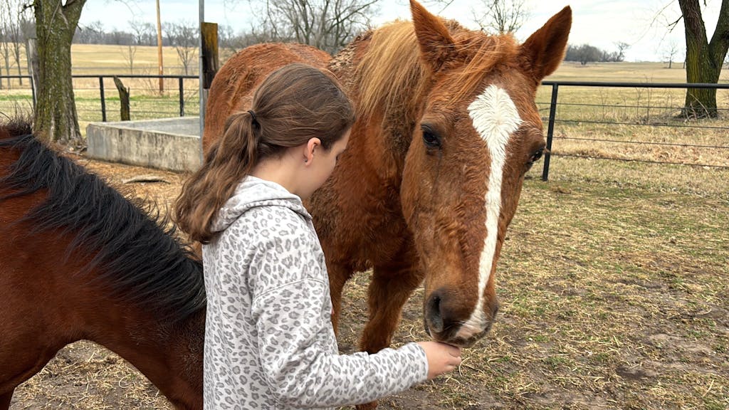 ImmuBiome Spine & Nerve