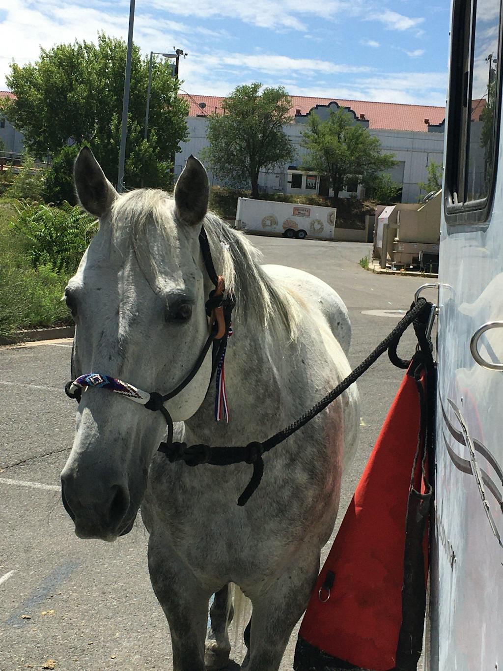 ImmuBiome Spine & Nerve