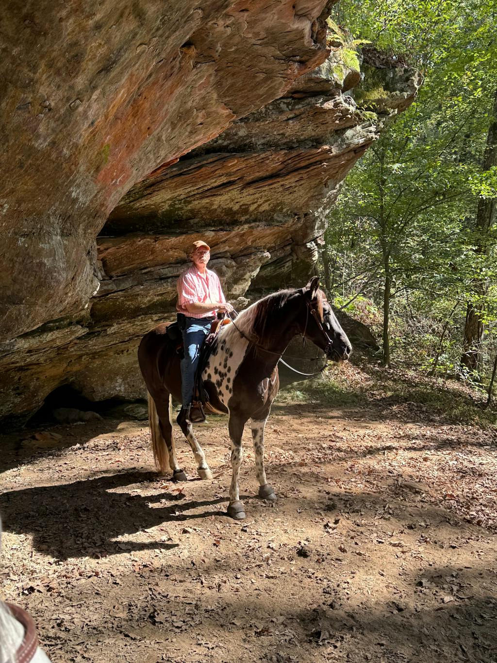 ImmuBiome Spine & Nerve