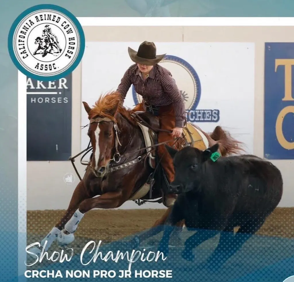 ImmuBiome Joint & Recovery