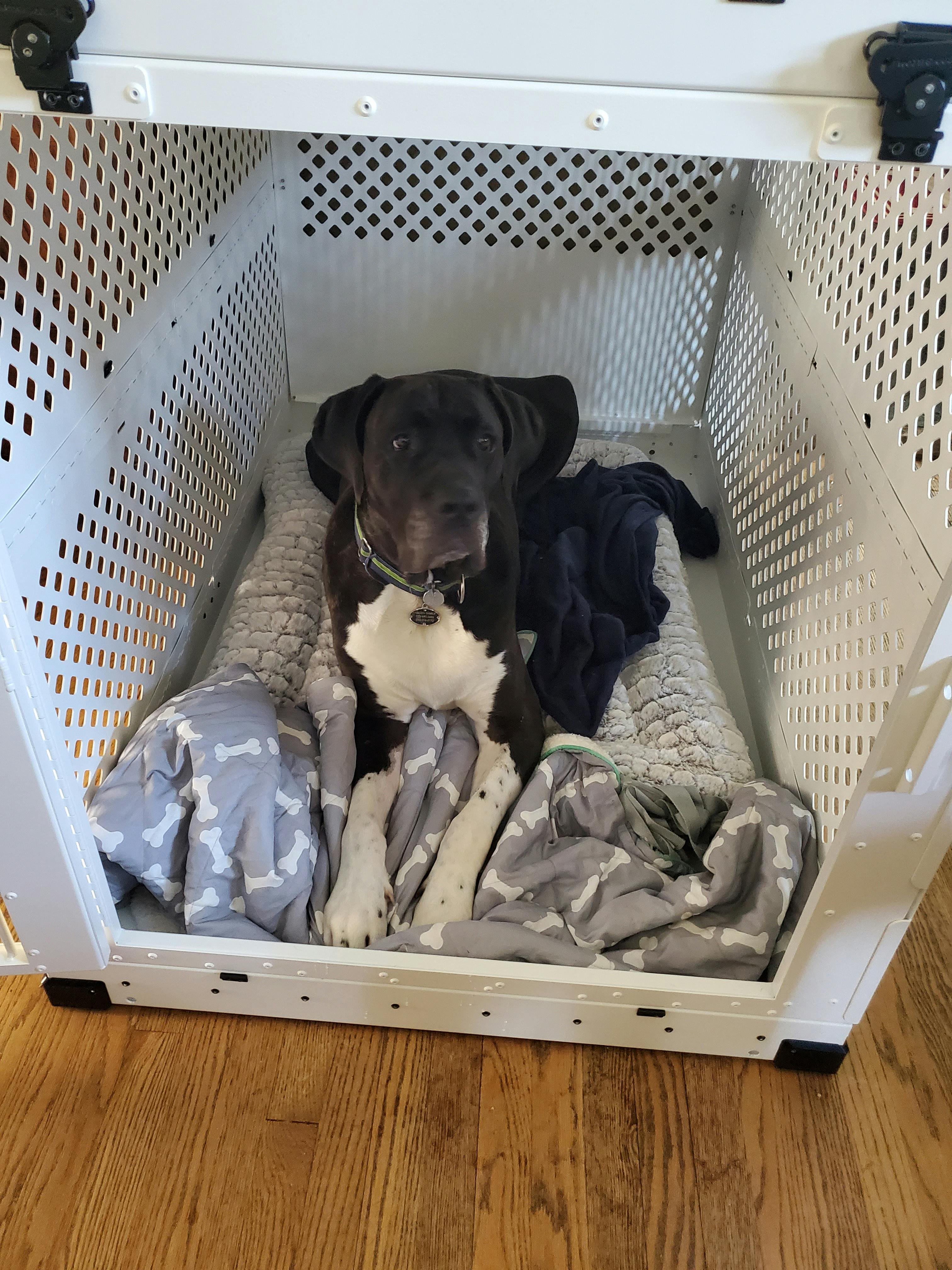 Collapsible Dog Crate Impact Dog Crates