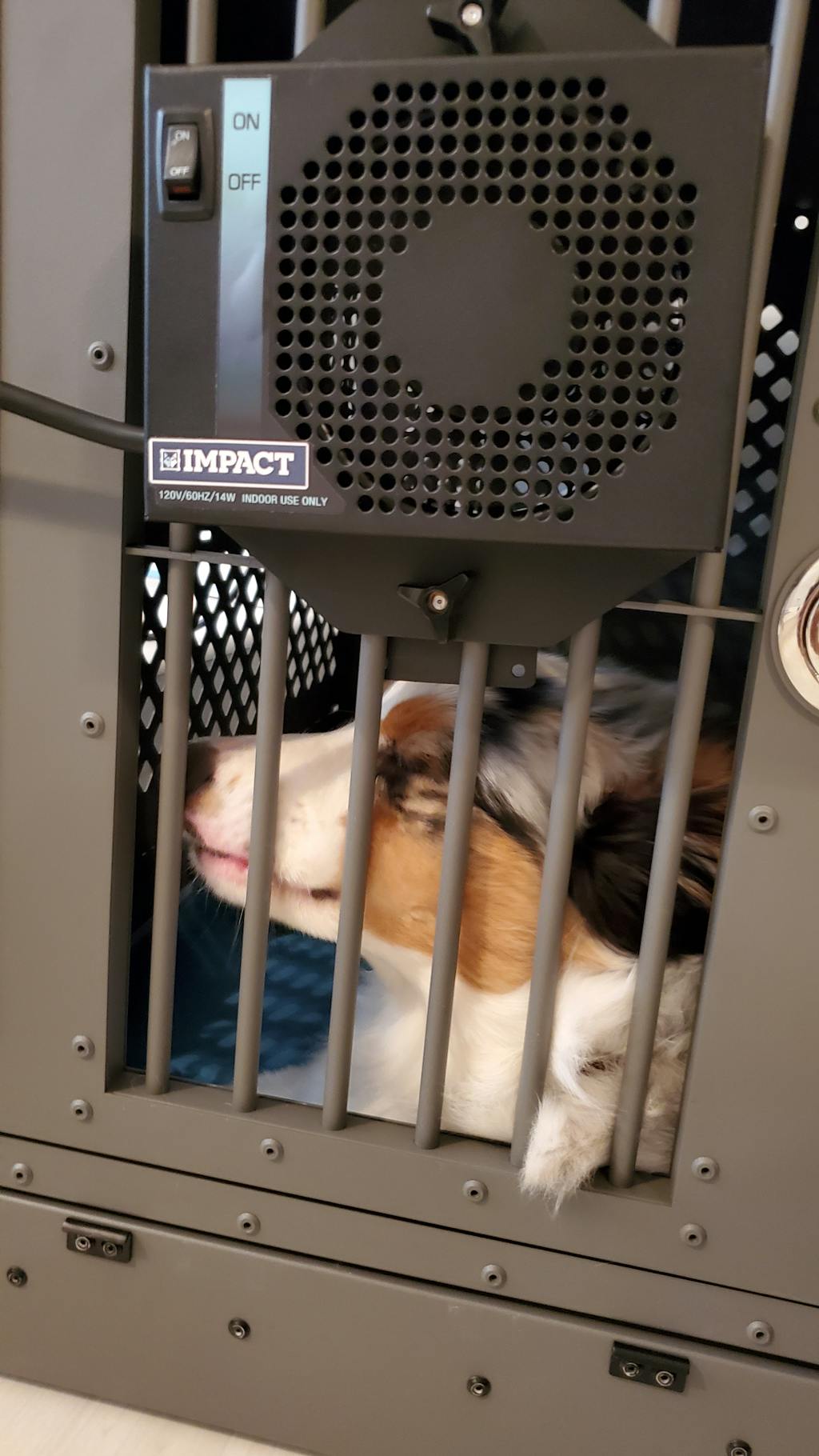 Impact Crate Fan Impact Dog Crates