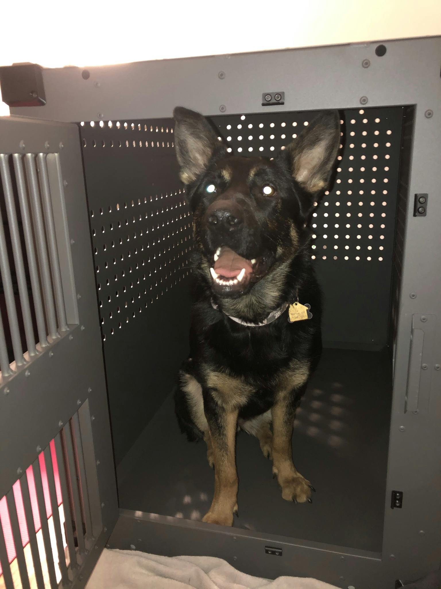High Anxiety Dog Crate, Strong & Safe Impact Dog Crates