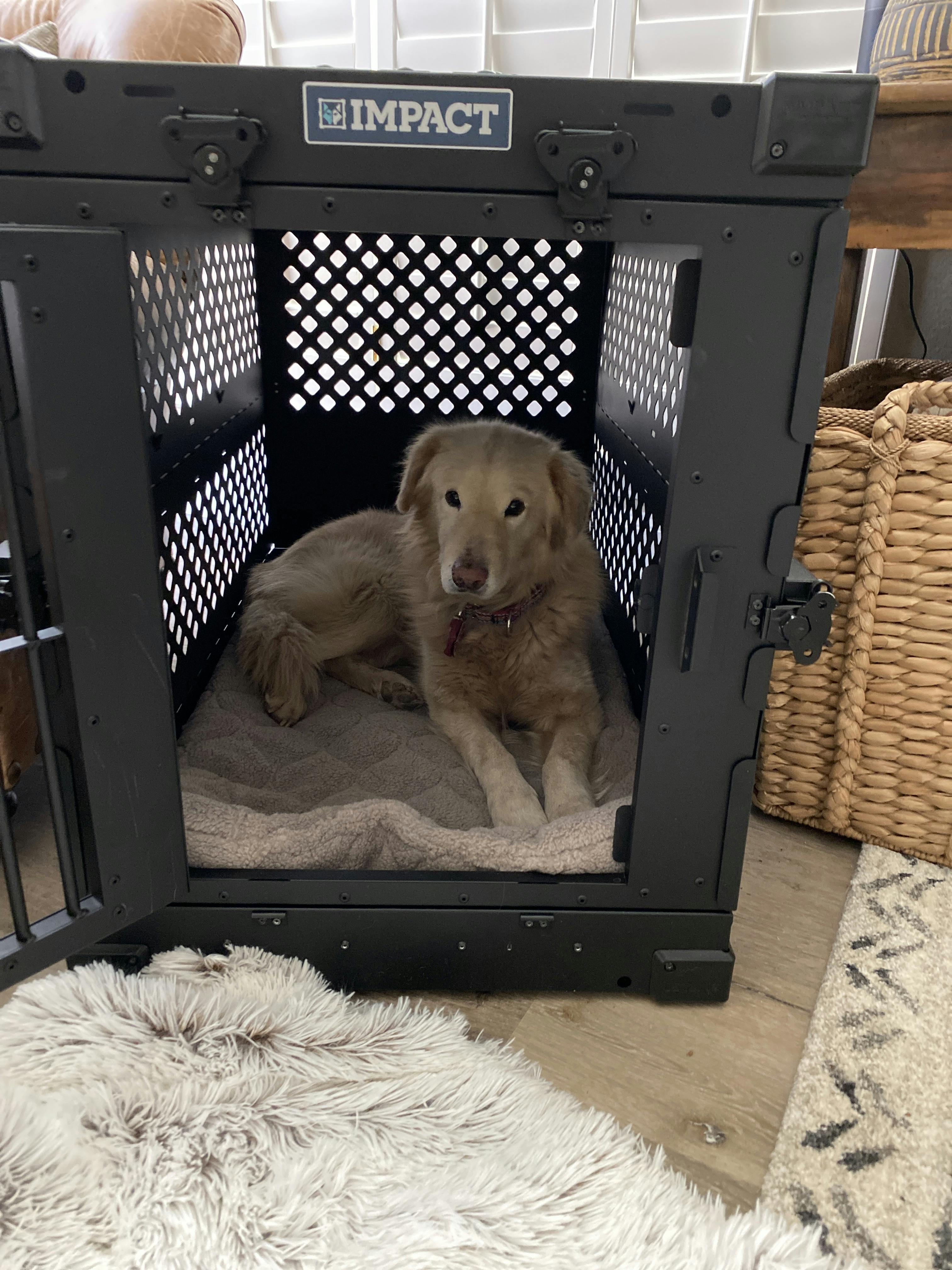 Collapsible Dog Crate Impact Dog Crates