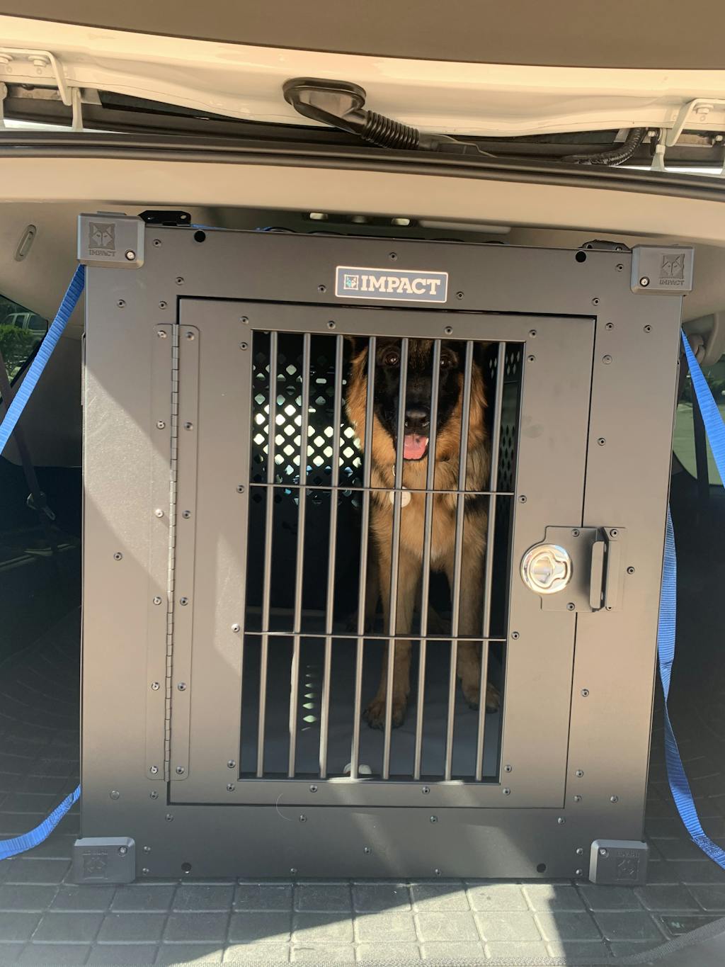 Heavy Duty Large Dog Crate Impact Dog Crates